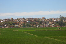 Rijstveld, Antananarivo